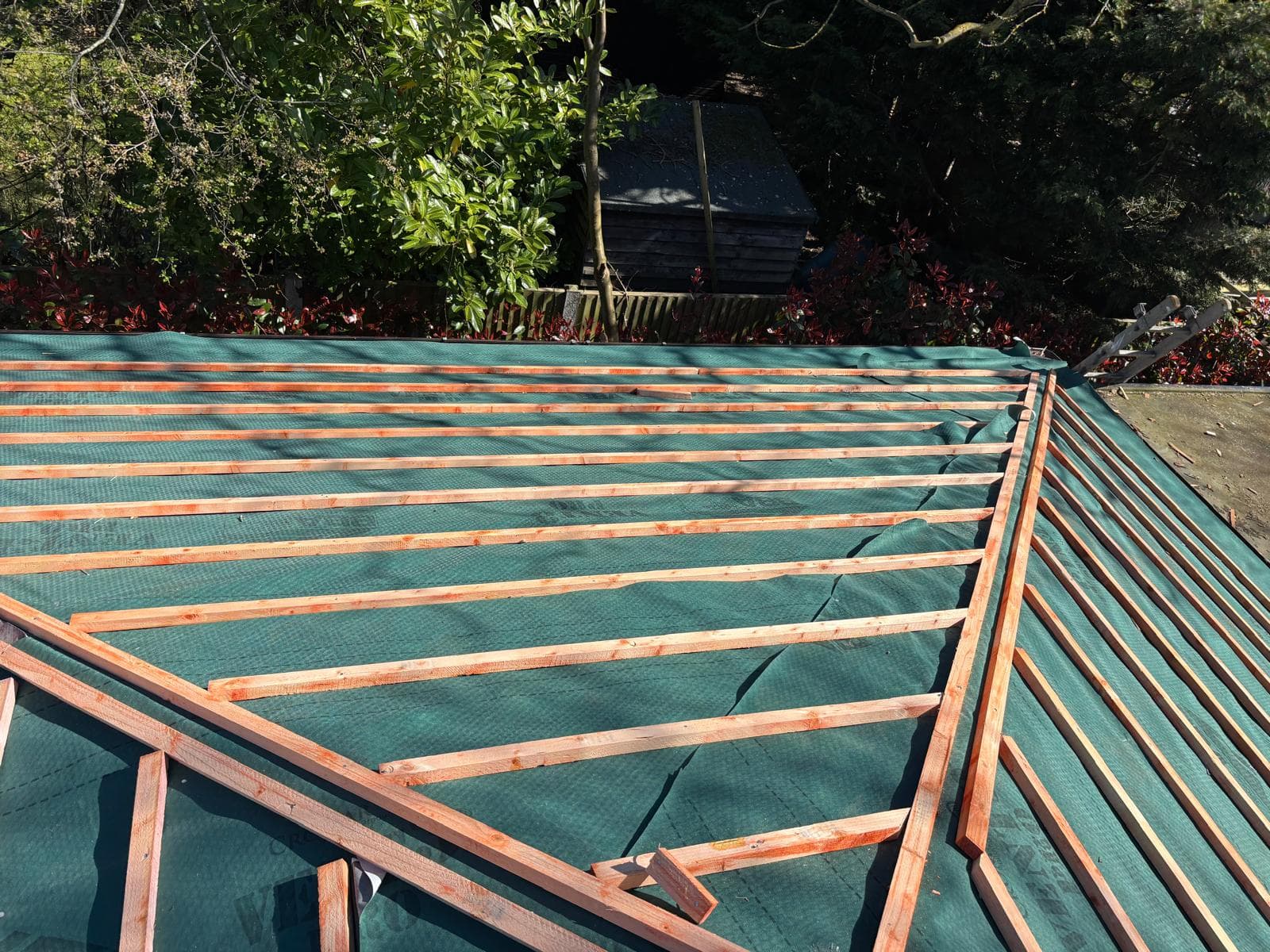 Gutter and Roof Health
